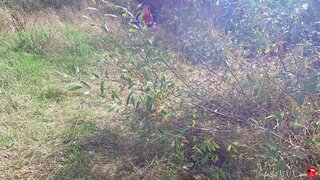 ���ປຍໍາ Catwoman ໃນປາກຫຼັງຈາກສາມາທິຢູ່ໃນປ່າ